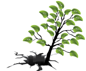 Cascadia Earthquake Emergency Preparedness